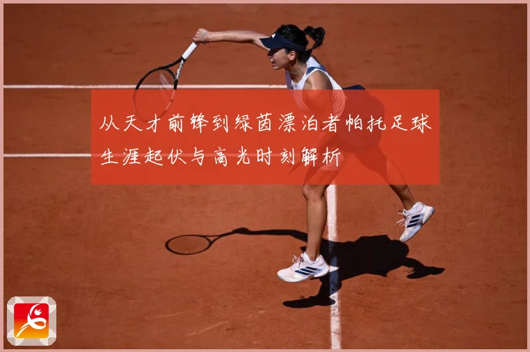 从天才前锋到绿茵漂泊者帕托足球生涯起伏与高光时刻解析