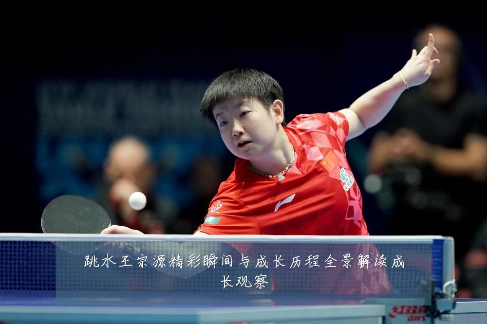 跳水王宗源精彩瞬间与成长历程全景解读成长观察